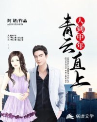 人到中年:青雲直上